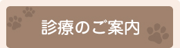 診療のご案内